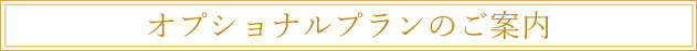 オプションプランのご案内