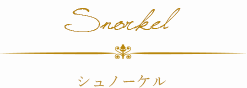 シュノーケル